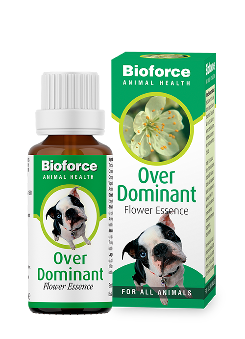 A.Vogel Over-Dominant Essence image 0