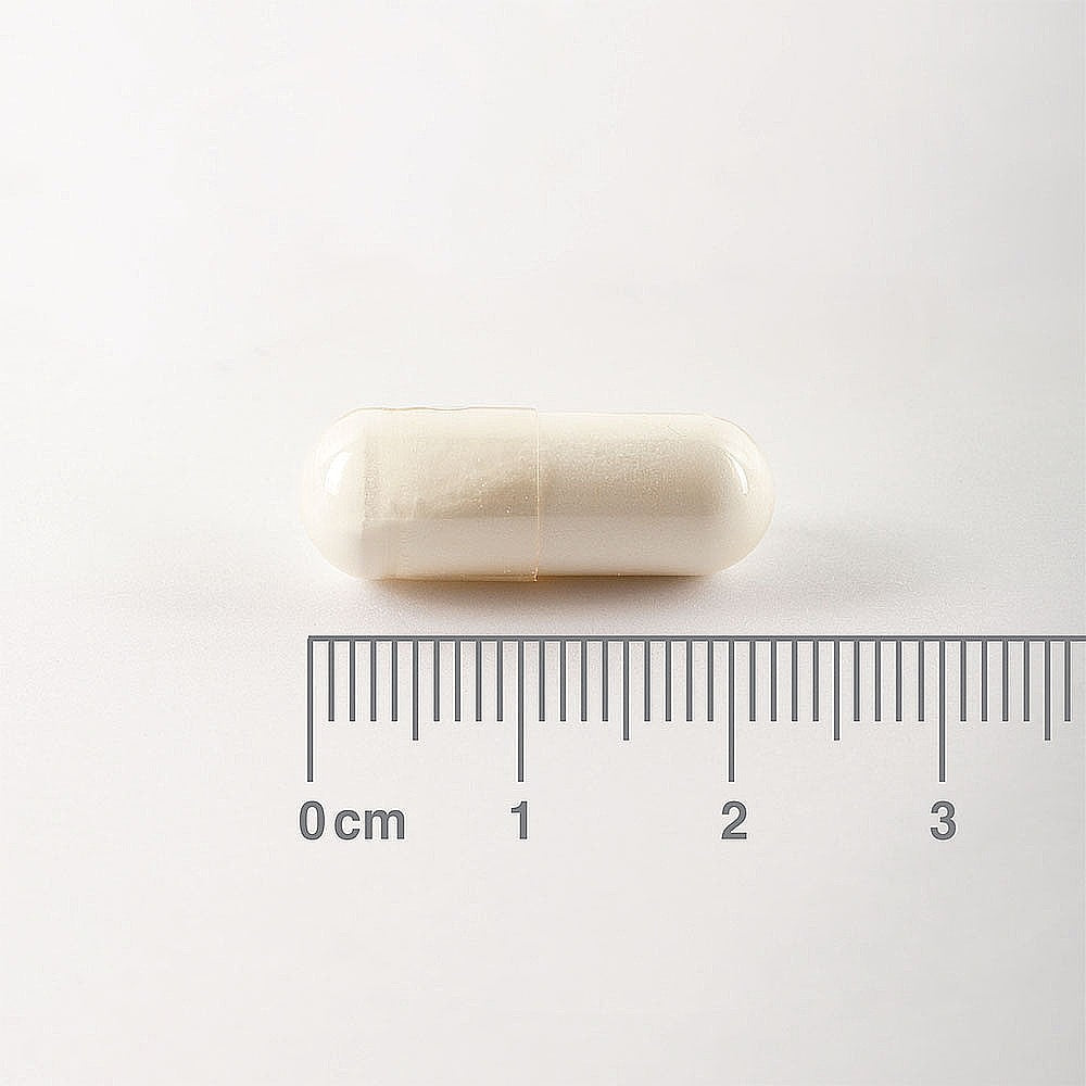 Lamberts L-Glutamine 500mg 90 capsules