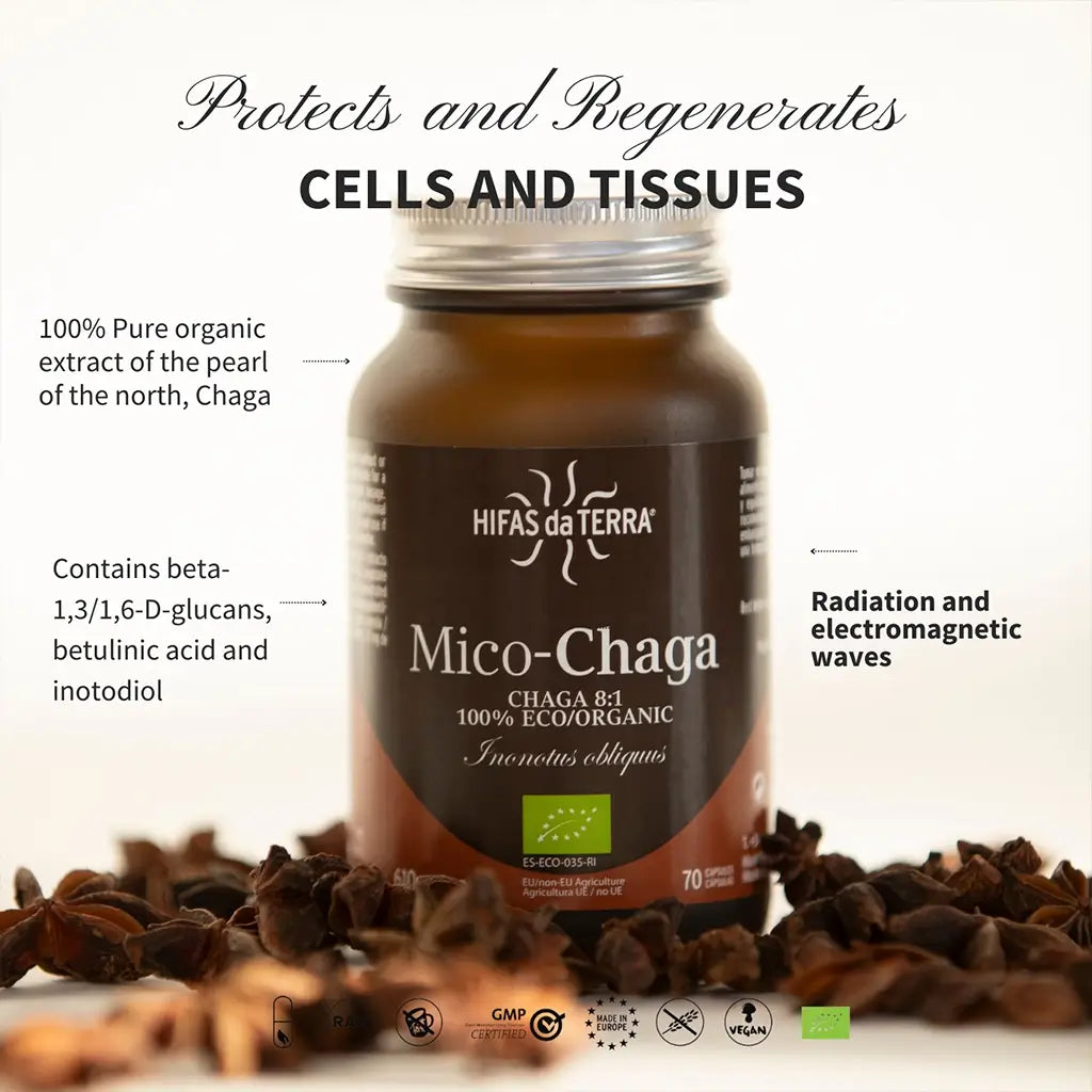 Hifas Da Terra Mico-Chaga Pure Organic