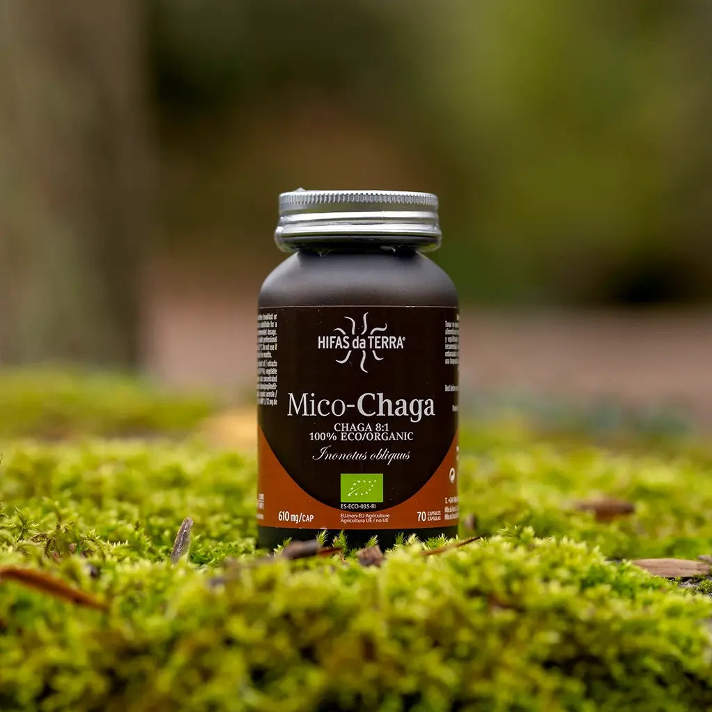 Hifas Da Terra Mico-Chaga Pure Organic