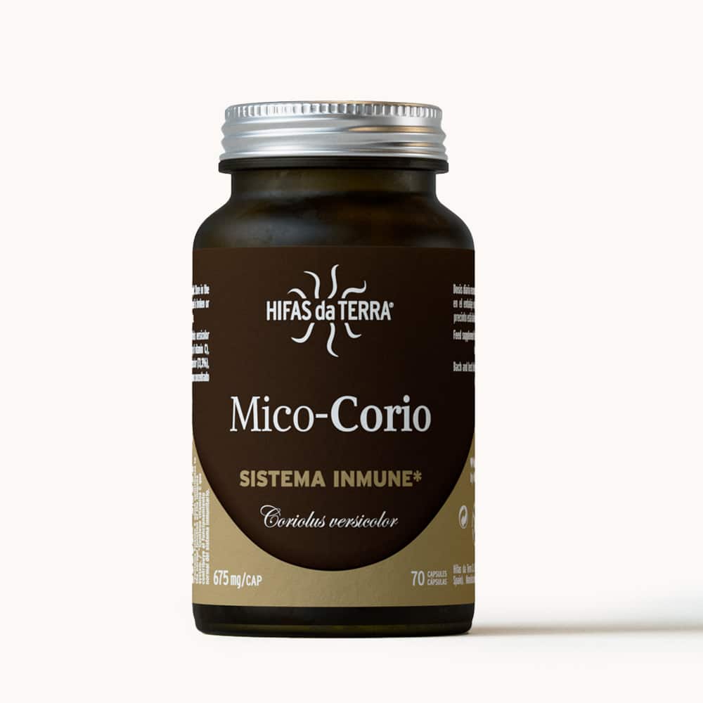 Hifas Da Terra Mico-Corio