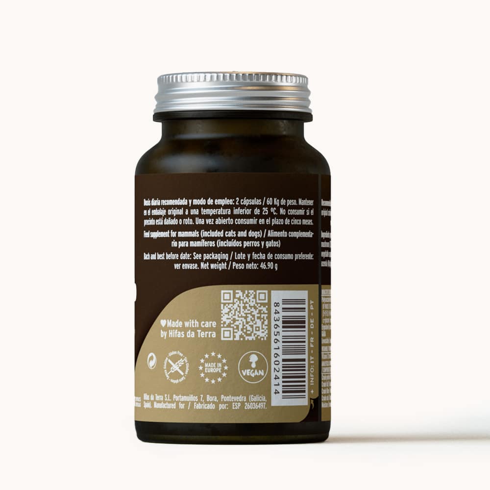 Hifas Da Terra Mico-Corio