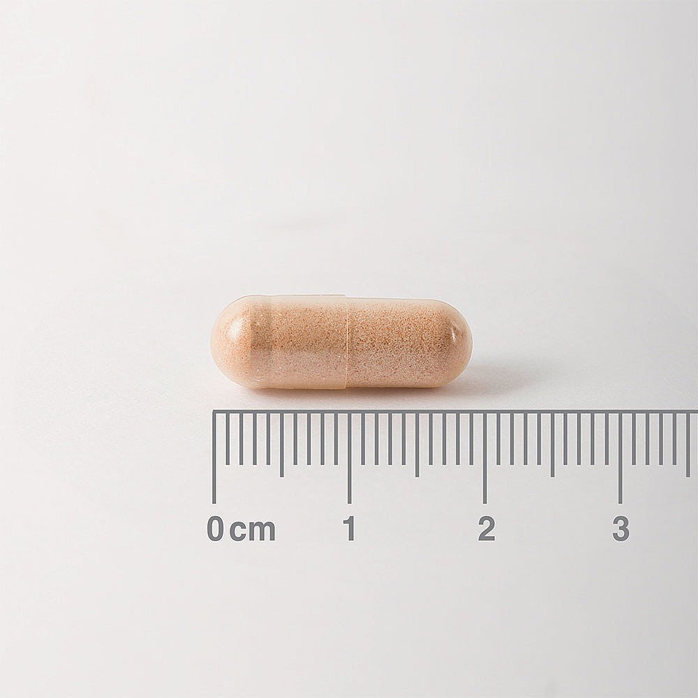 Lamberts Pycnogenol® 60 capsules image 1