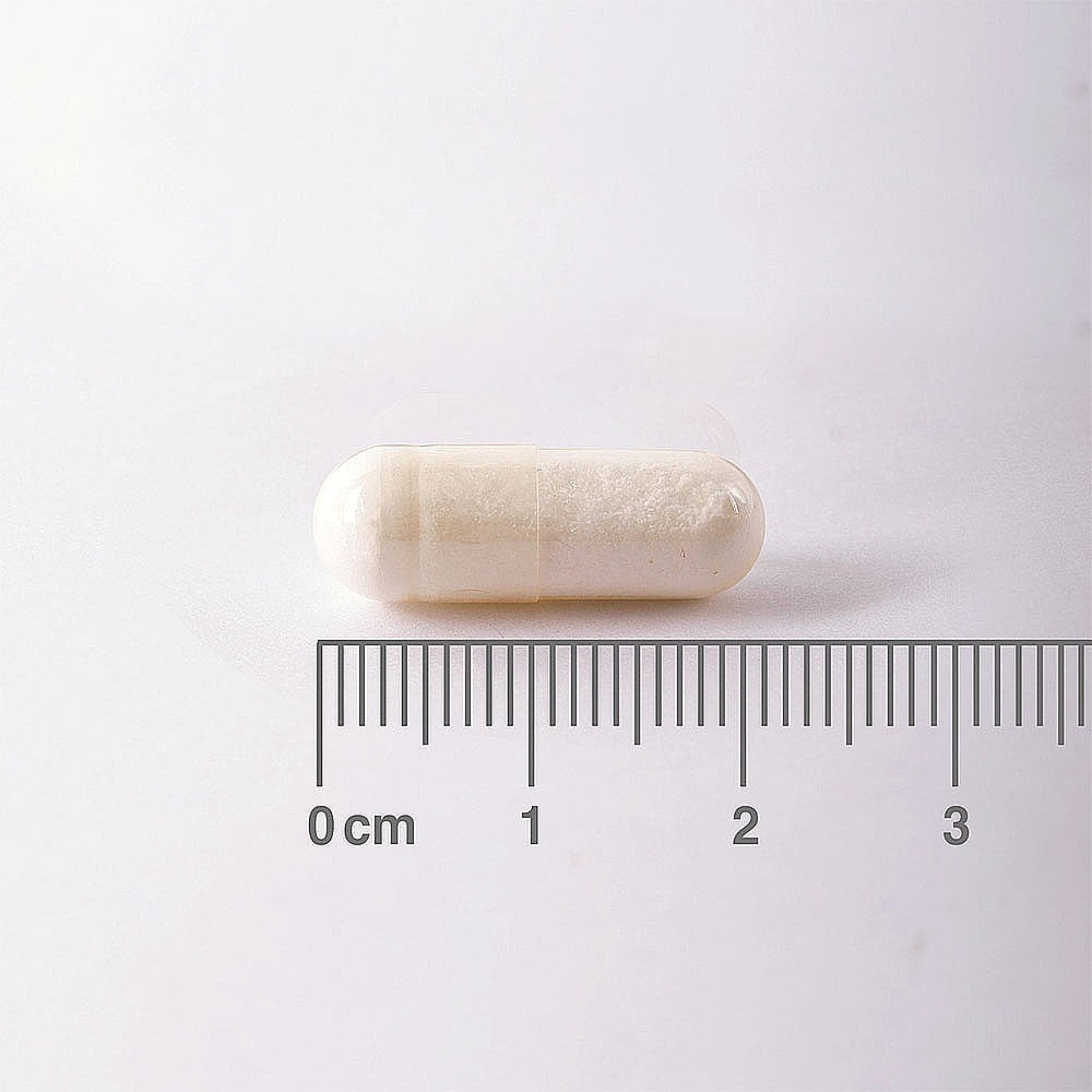 Lamberts Taurine 500mg 60 capsules image 2