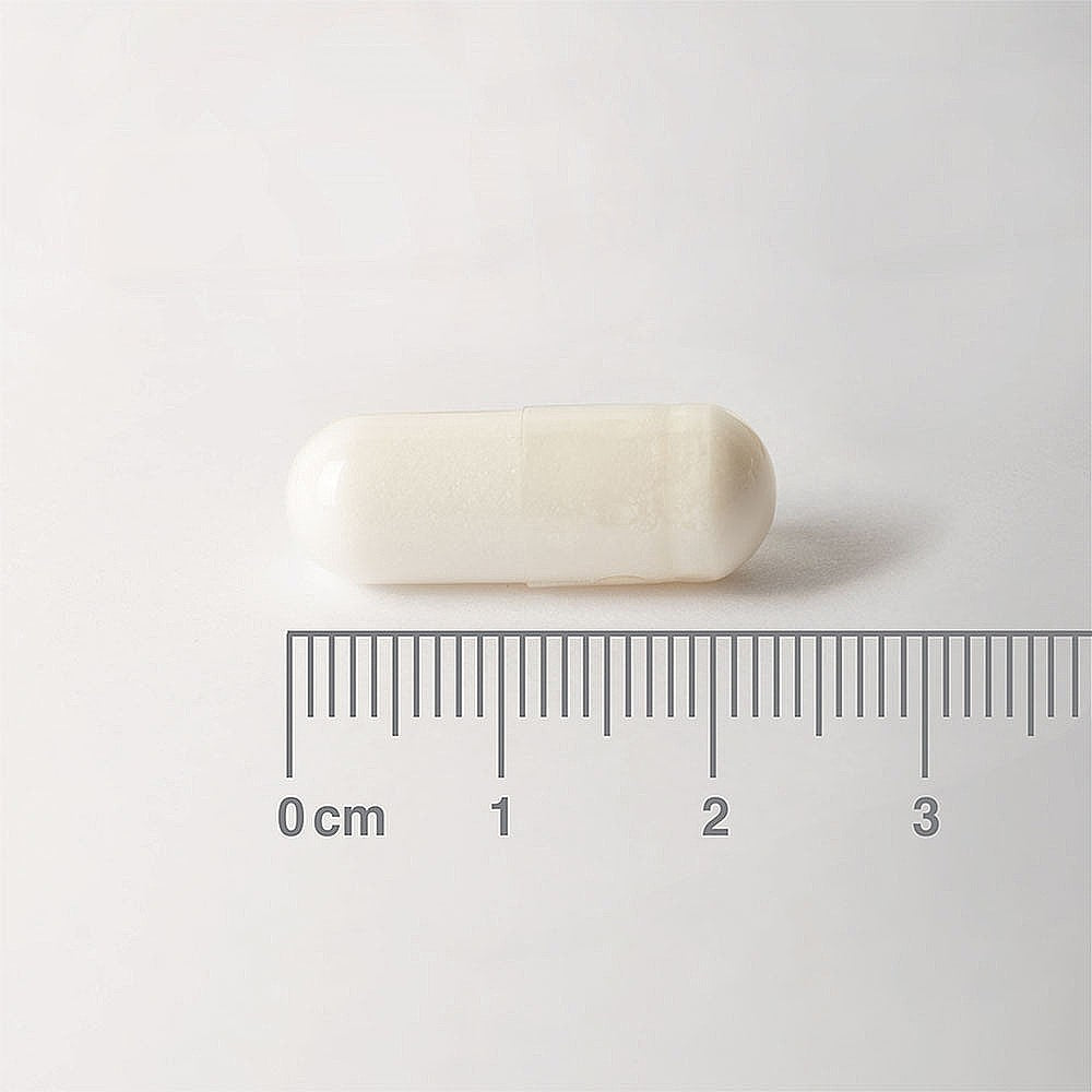 Lamberts L-Carnitine 500mg 60 capsules image 2