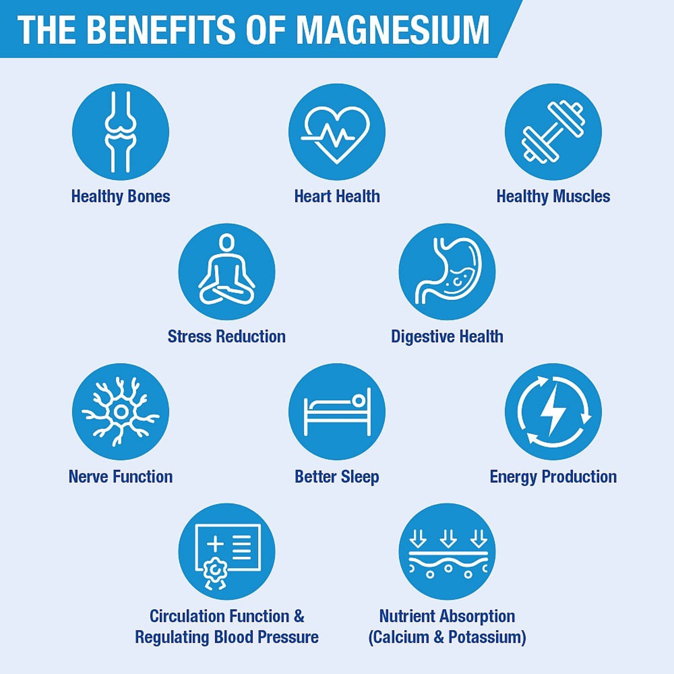 Lamberts Magnesium 375 Tablets image 3