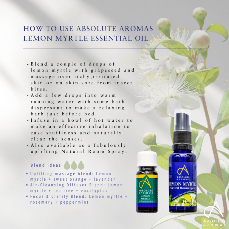 Absolute Aromas Lemon Myrtle Essential Oil 3
