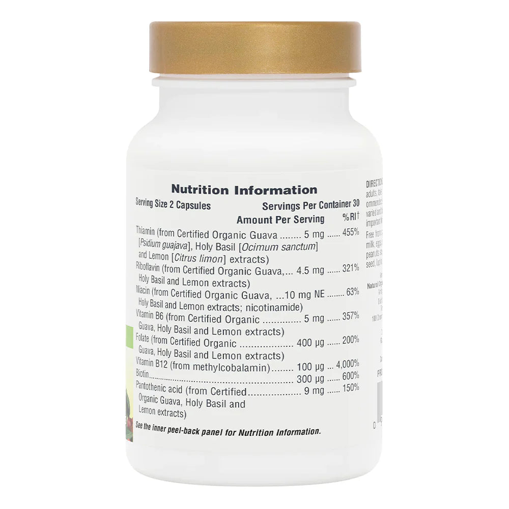 NaturesPlus Source of Life® Garden B Complex 60 Capsules image 1