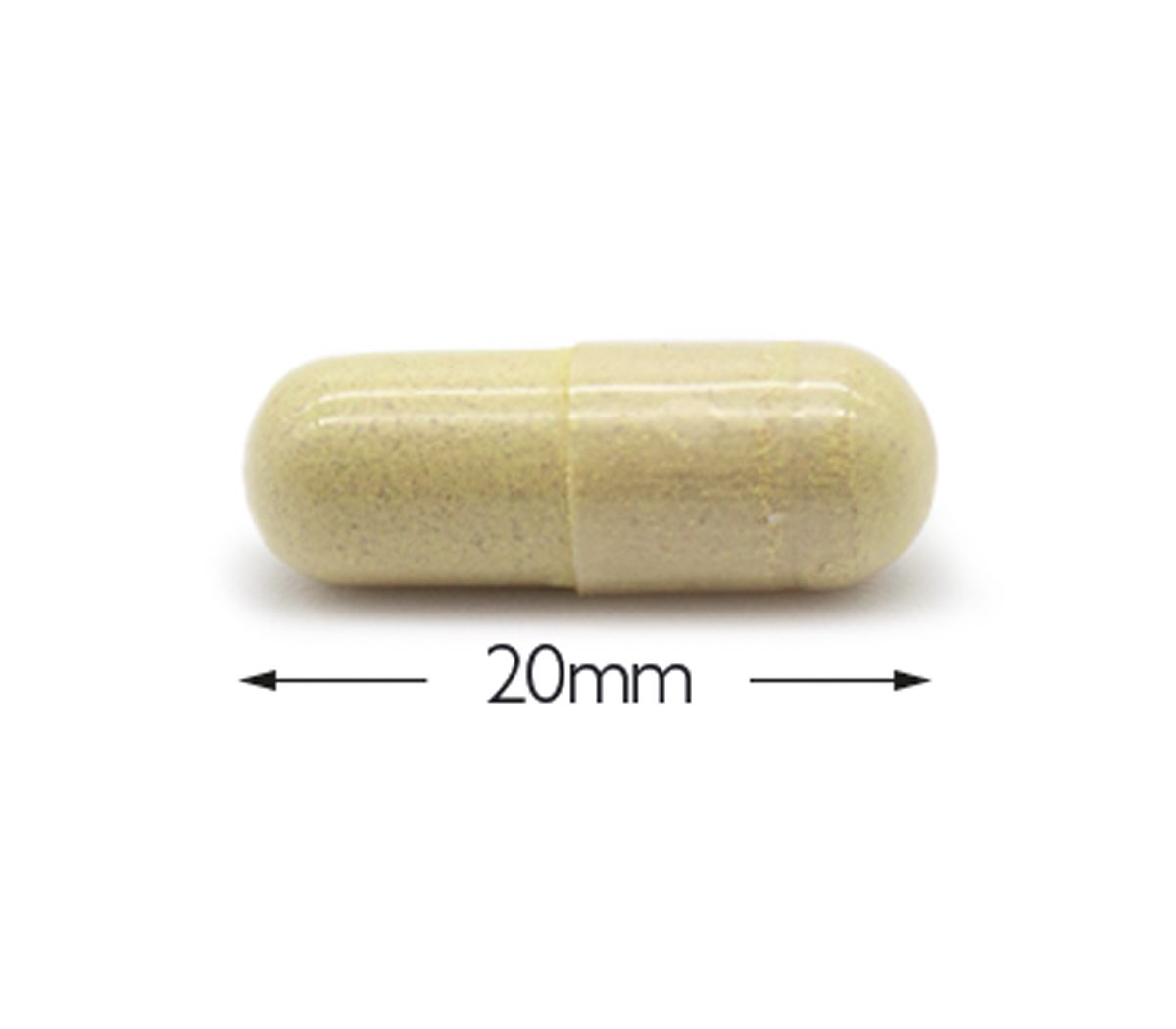 Cytoplan CytoProtect GI Tract