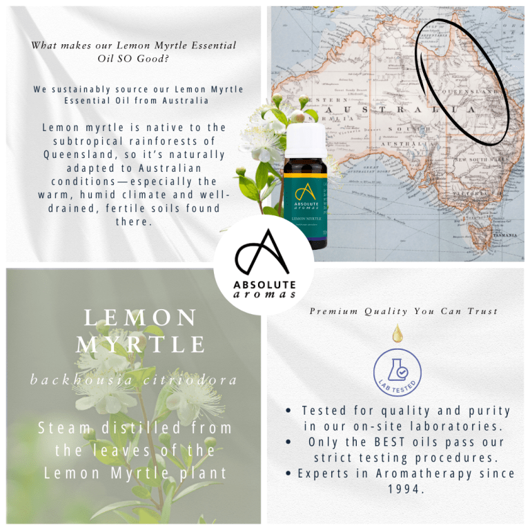 Absolute Aromas Lemon Myrtle Essential Oil 4