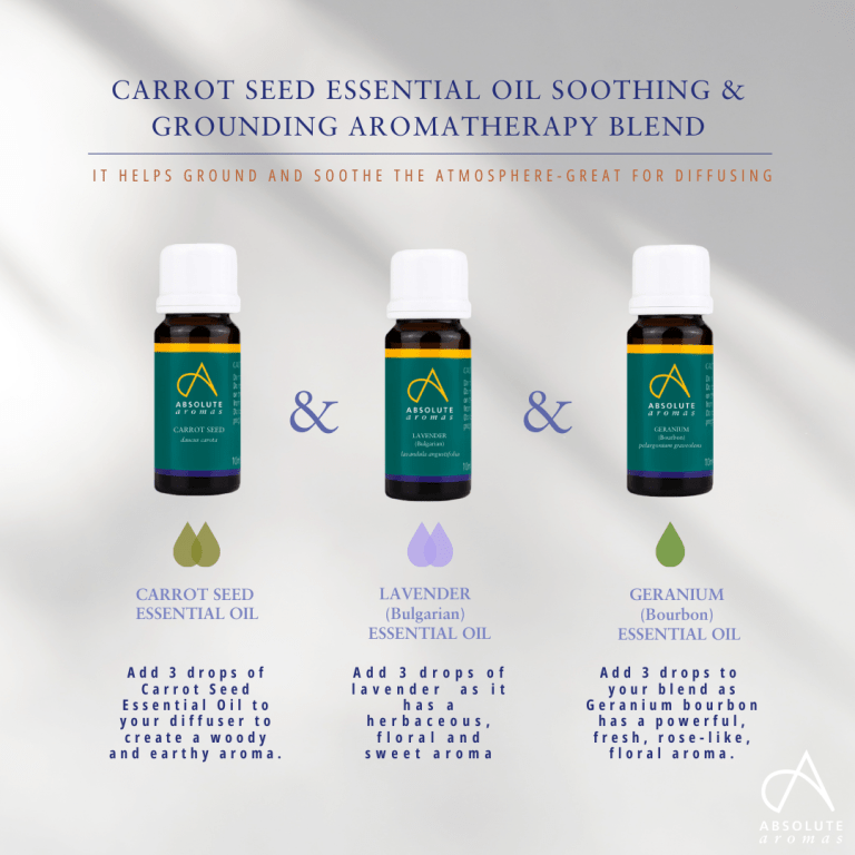 Absolute Aromas Carrot Seed Essential Oil 5
