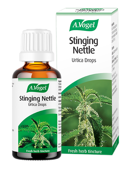 Stinging Nettle image 1