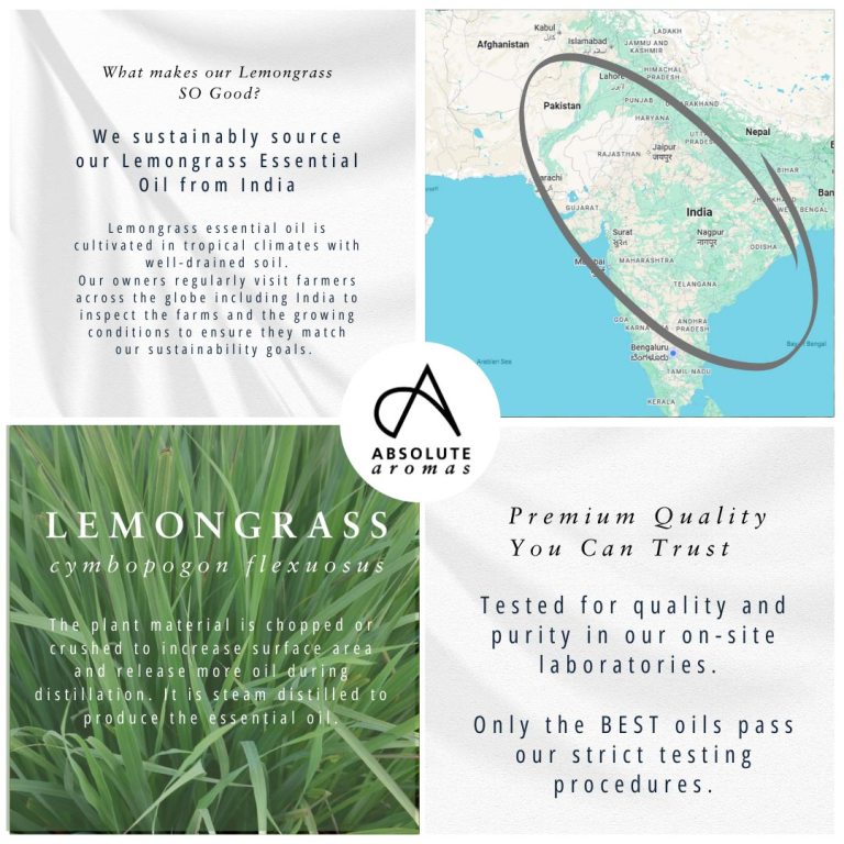 Absolute Aromas Lemongrass Essential Oil 3