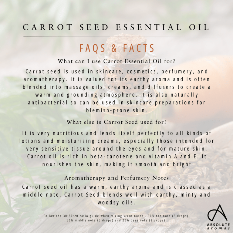 Absolute Aromas Carrot Seed Essential Oil 6