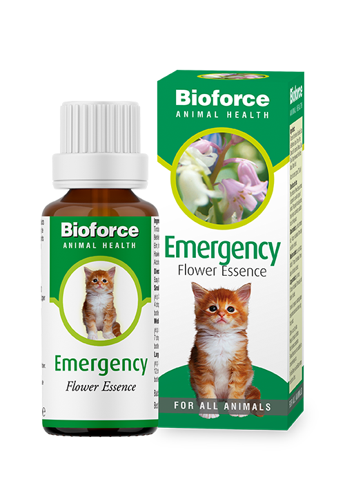 A.Vogel Emergency Essence for pets image 0