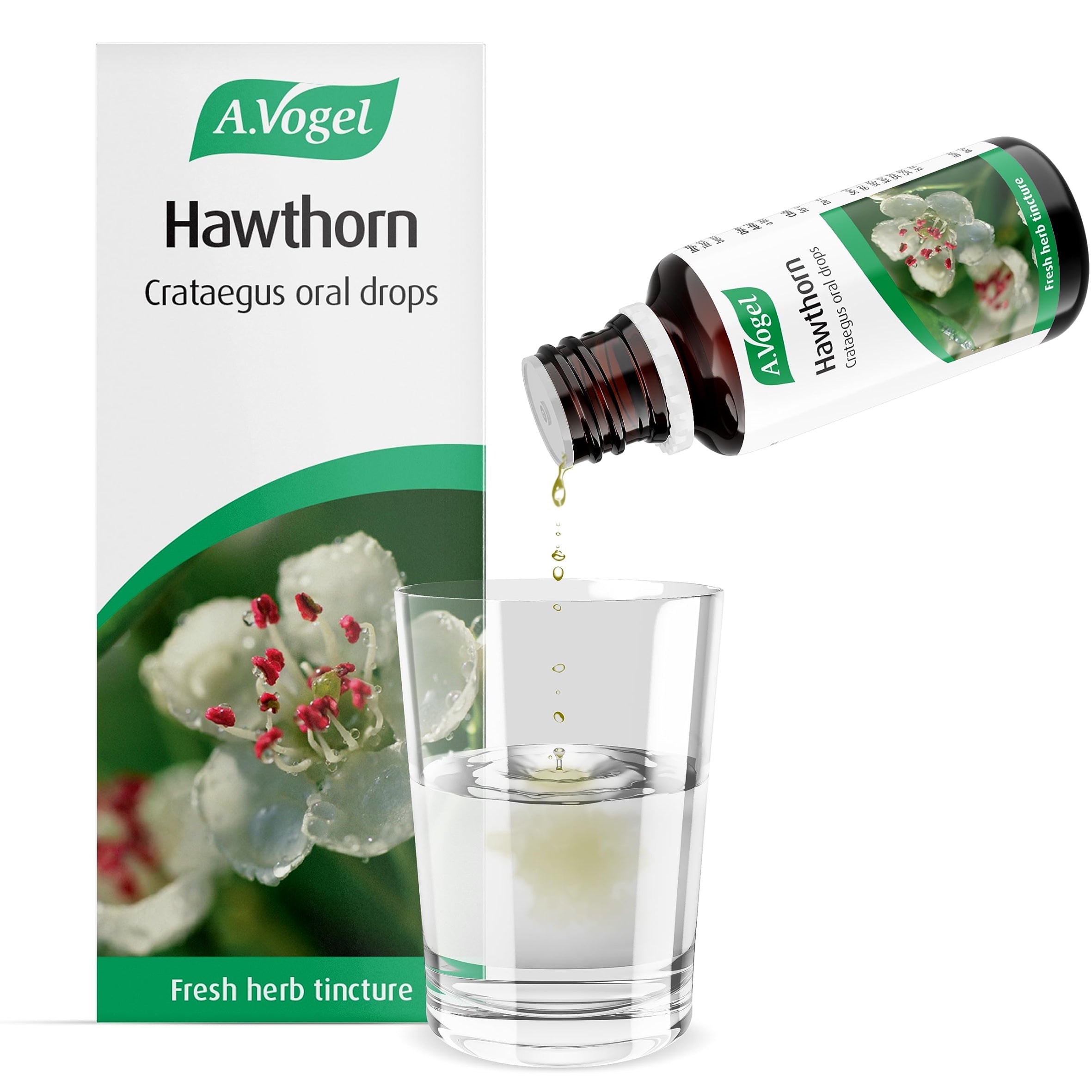 A.Vogel Hawthorn (Crataegus)