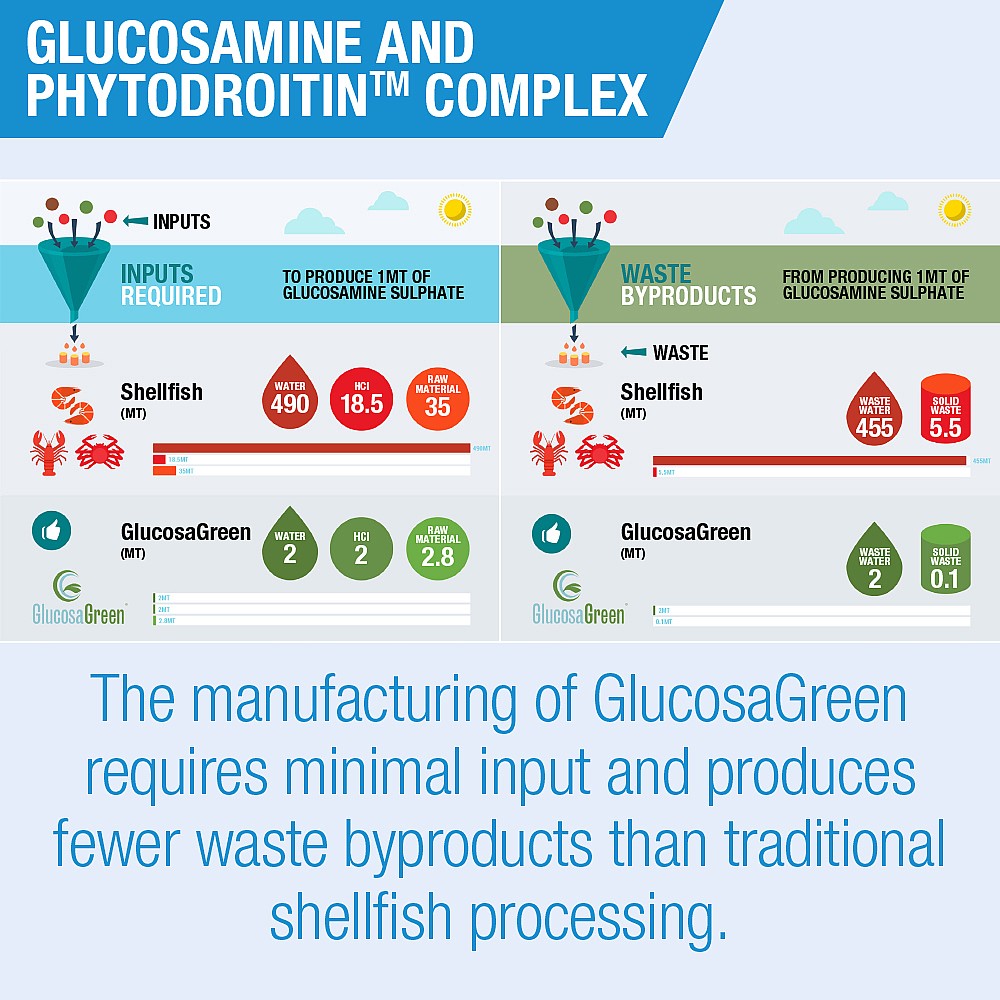 Lamberts Glucosamine & Phytodroitin™ Complex 4