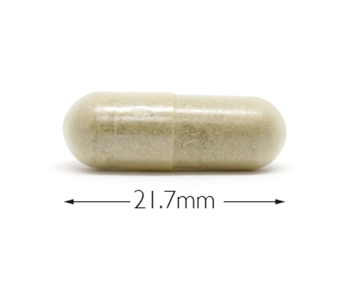 Cytoplan Organic Bacopa Monnieri