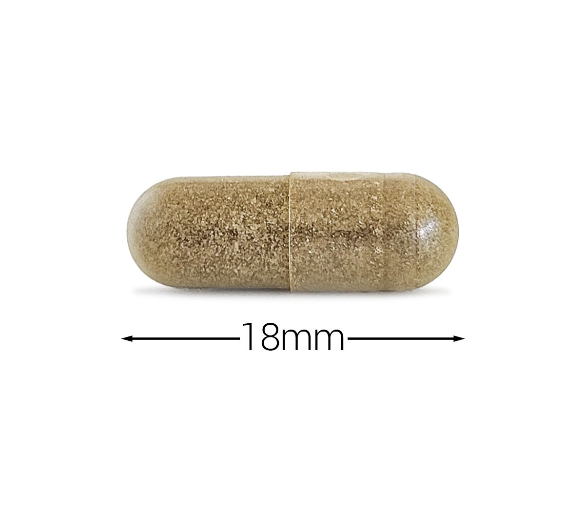 Cytoplan Gymnema Sylvestre 3