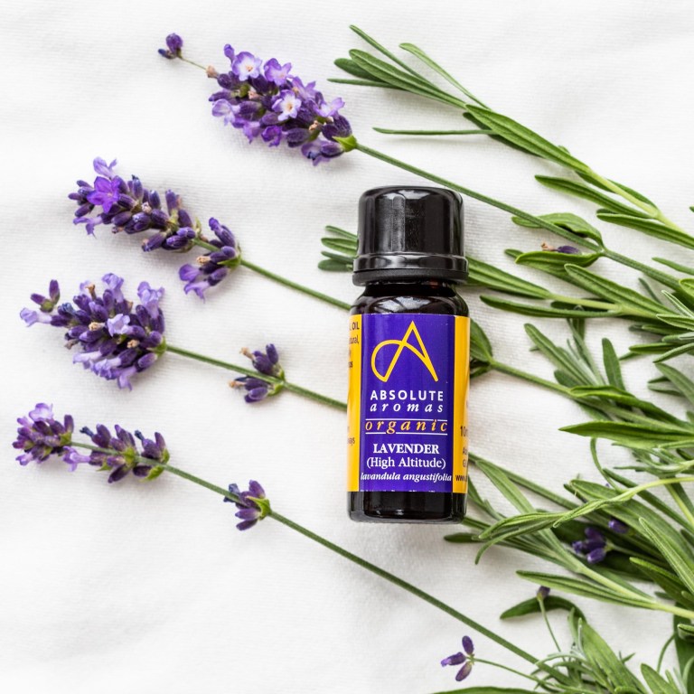 Absolute Aromas Organic Lavender High Altitude