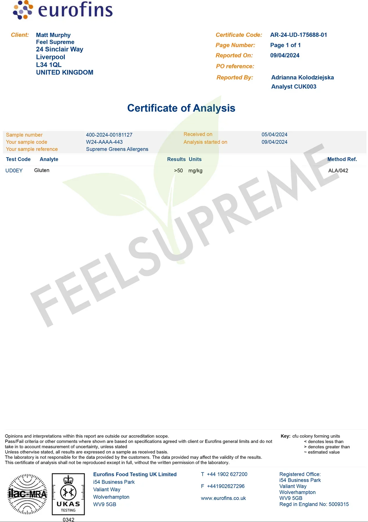 Feel Supreme Greens and Mushroom Blend 4