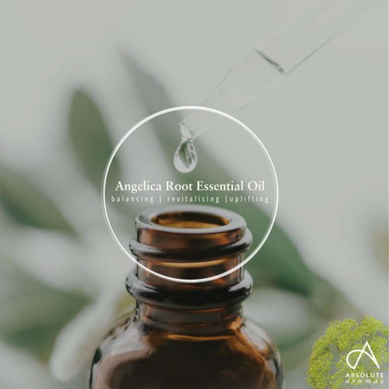 Absolute Aromas Angelica Root Essential Oil 5