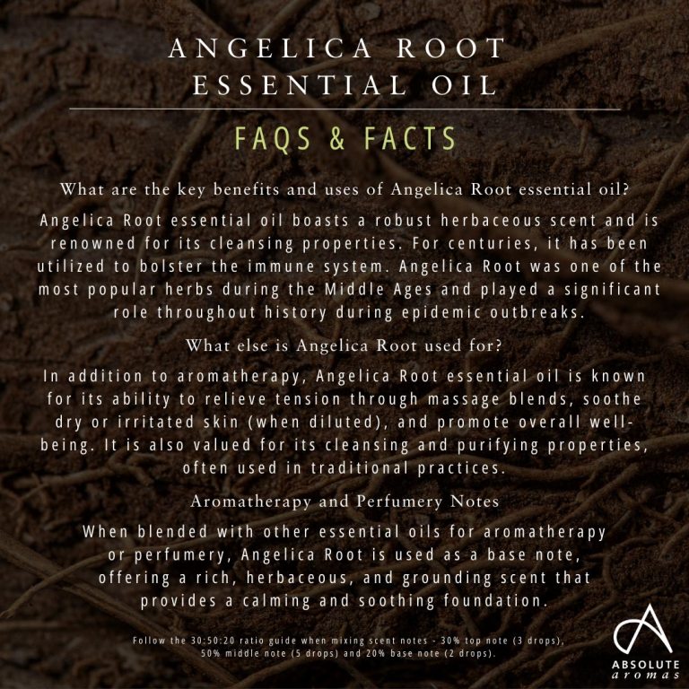 Absolute Aromas Angelica Root Essential Oil 4
