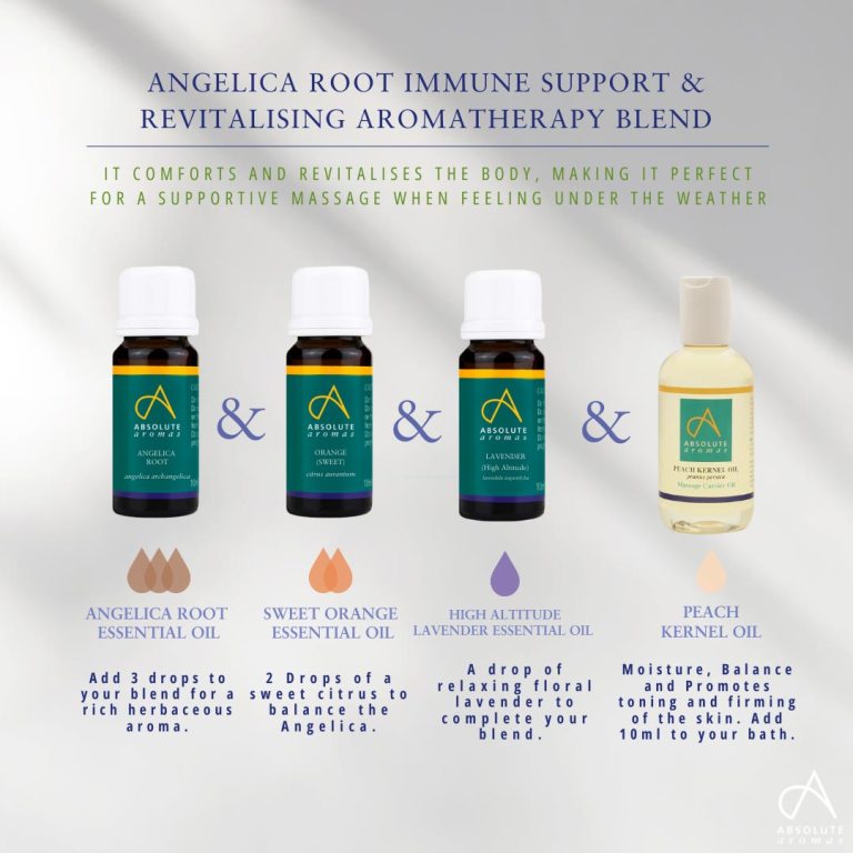 Absolute Aromas Angelica Root Essential Oil