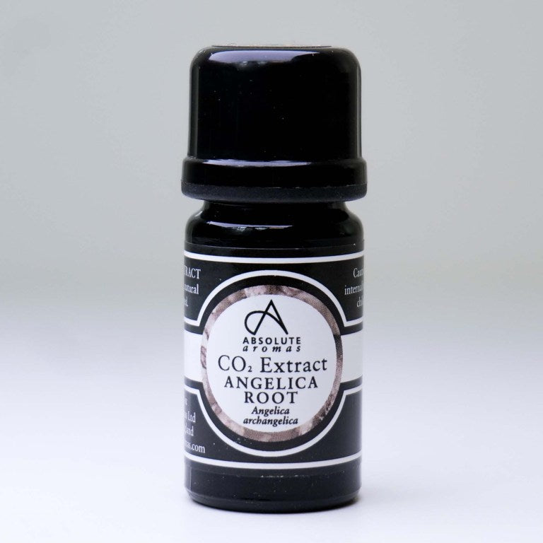 Absolute Aromas Angelica Root CO2 Extract