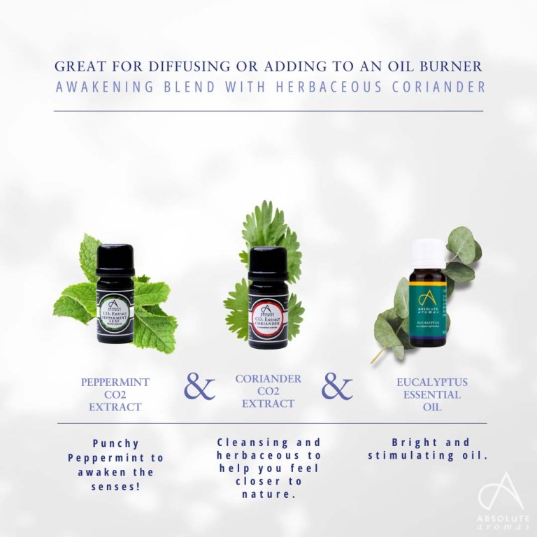 Absolute Aromas Coriander CO2 Extract 3
