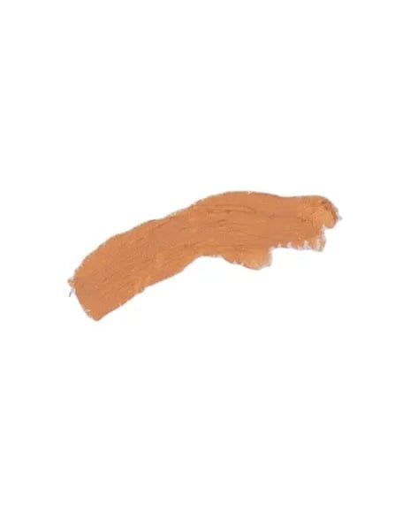 Benecos Natural Cover Stick 4