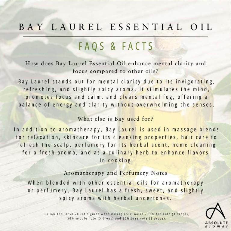 Absolute Aromas Bay Laurel Essential Oil 5