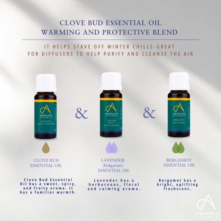 Absolute Aromas Clove Bud Essential Oil 3