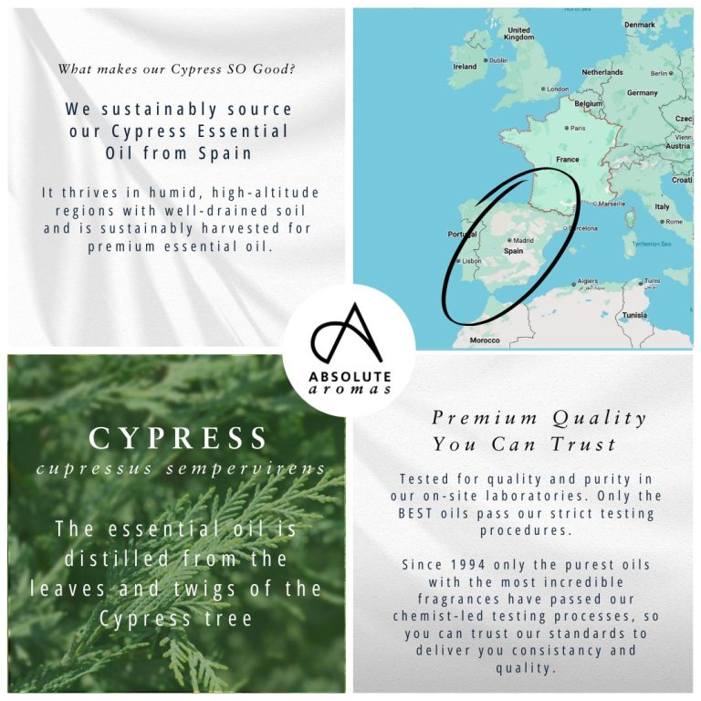 Absolute Aromas Cypress Essential Oil 4