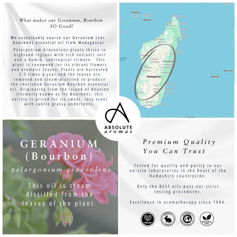 Absolute Aromas Geranium, Bourbon 4