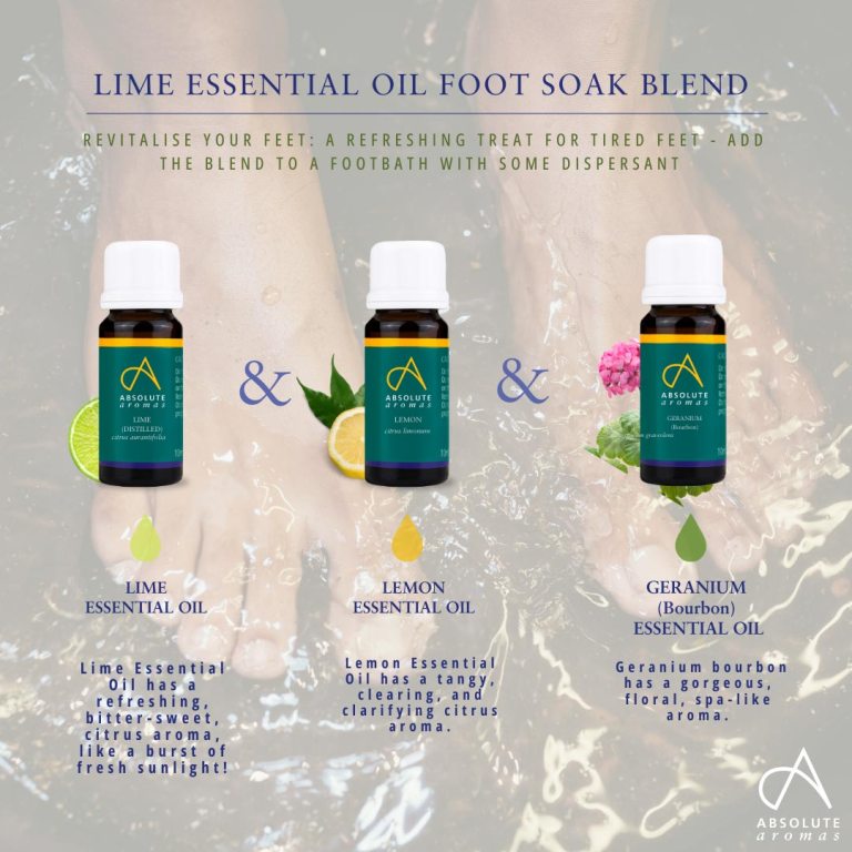 Absolute Aromas Lime Essential Oil(Distilled) 3