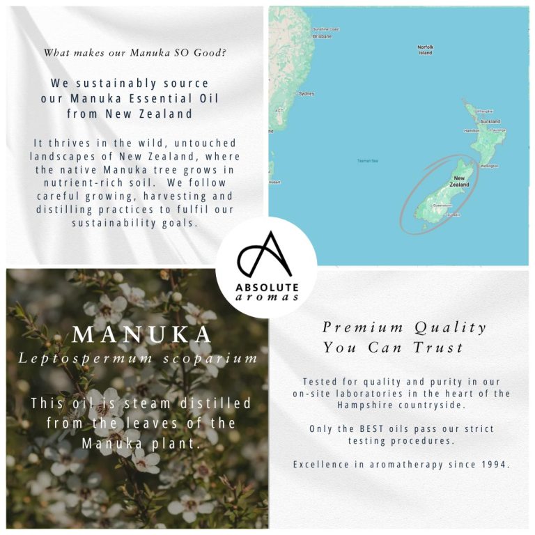 Absolute Aromas Manuka Essential Oil 3