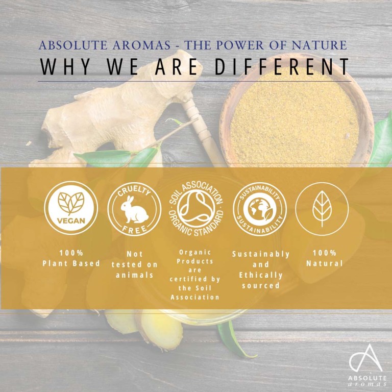 Absolute Aromas Ginger Treatment Oil 6