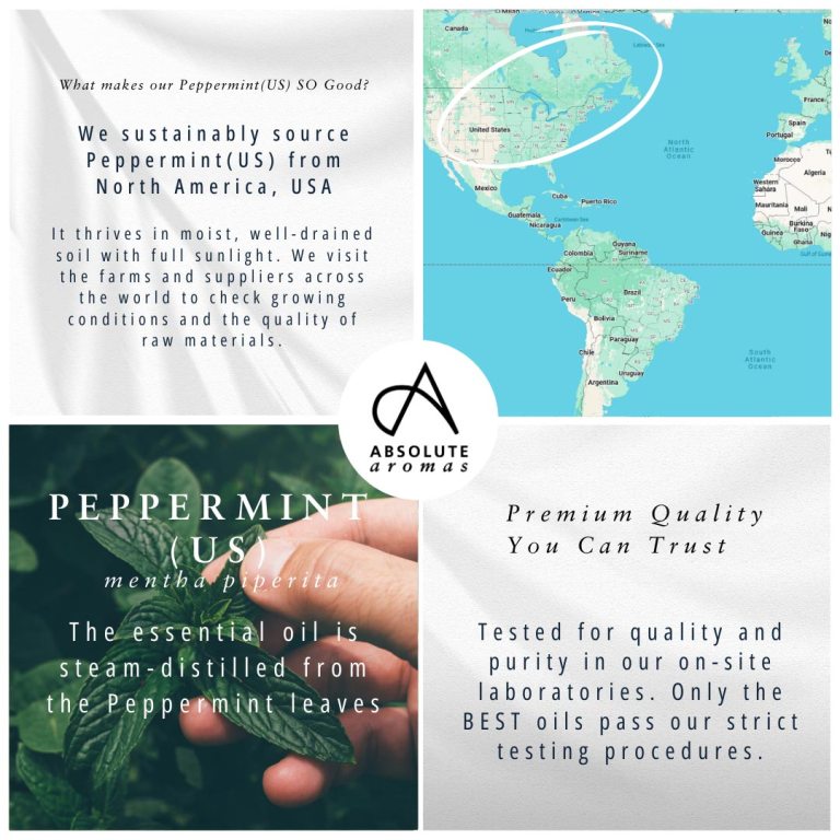 Absolute Aromas Peppermint (US) Essential Oil 4