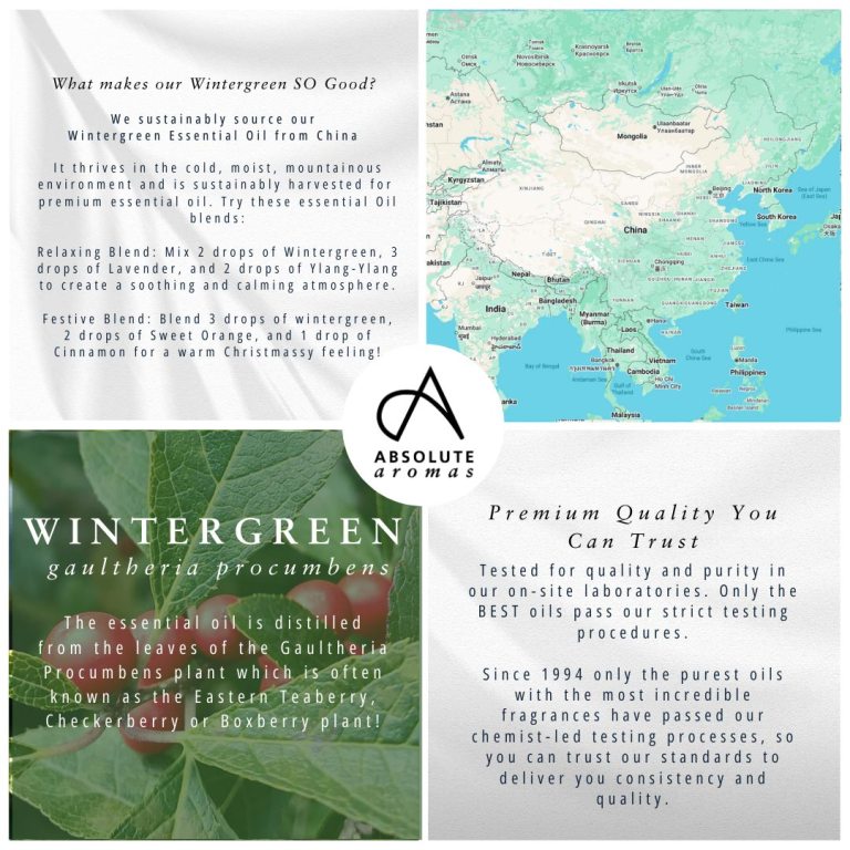 Absolute Aromas Wintergreen Essential Oil 4