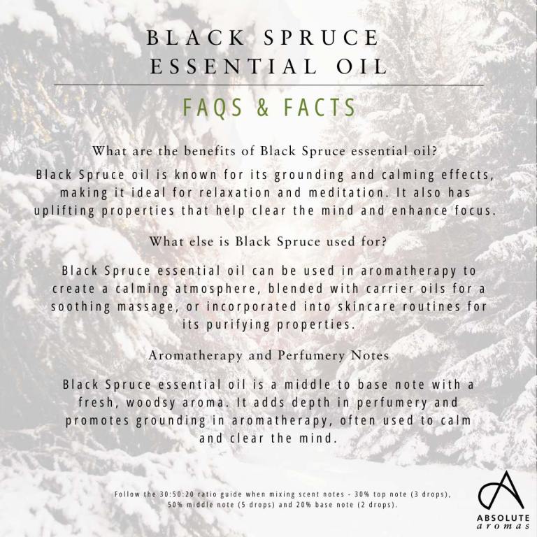 Absolute Aromas Black Spruce Essential Oil 3