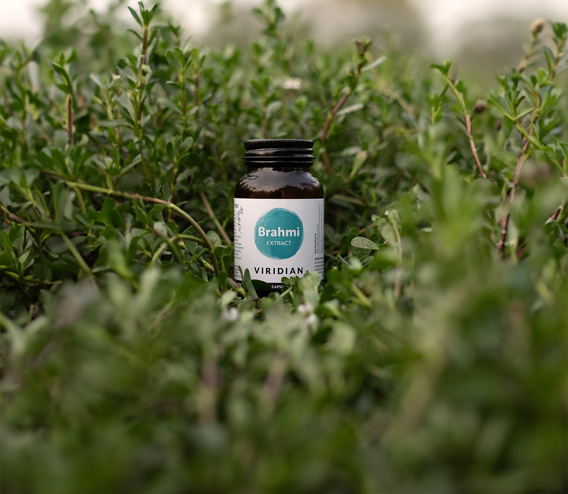 Viridian Brahmi Extract 60 Capsules 3