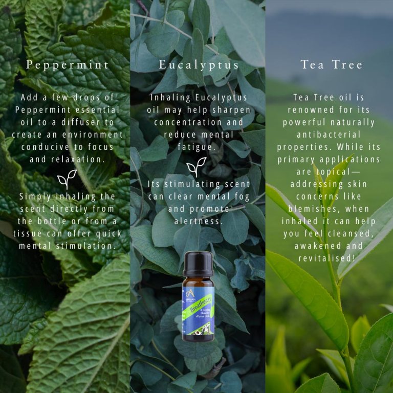 Absolute Aromas Breatheasy Essential Blend 6