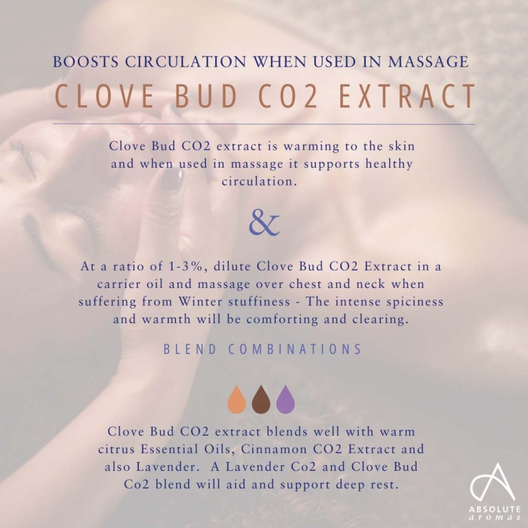 Absolute Aromas Clove Bud CO2 Extract