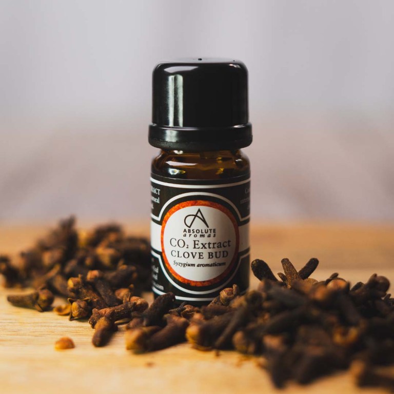 Absolute Aromas Clove Bud CO2 Extract 6