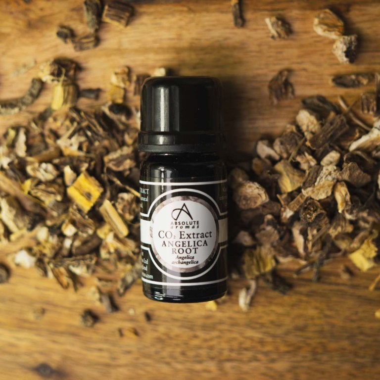 Absolute Aromas Angelica Root CO2 Extract