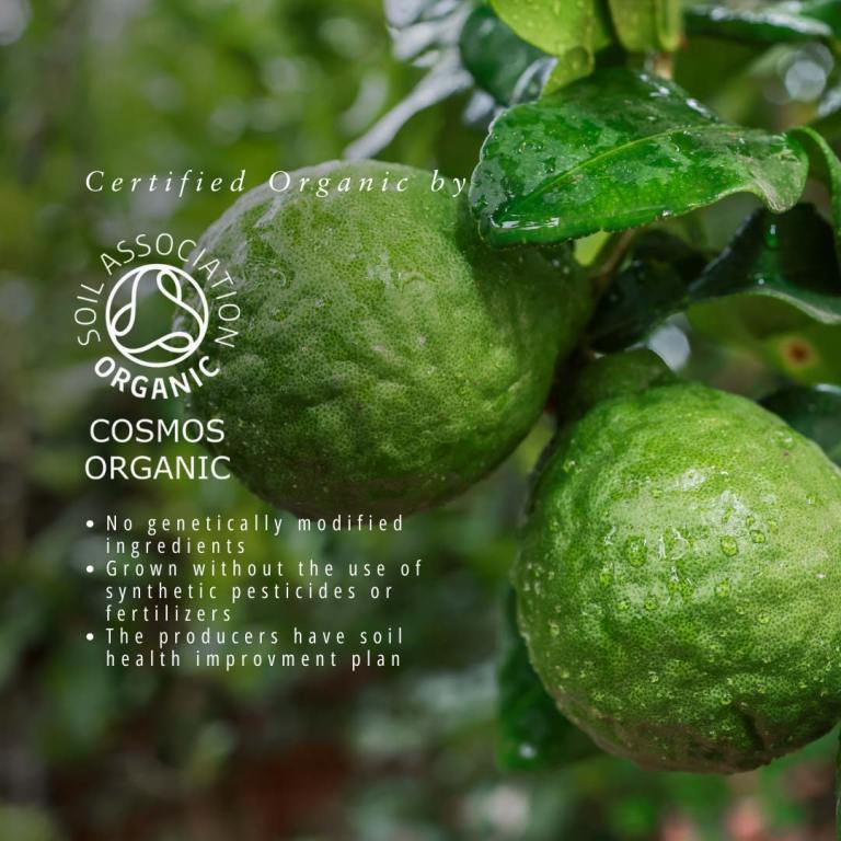 Absolute Aromas Organic Bergamot FCF 5