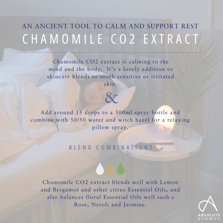 Absolute Aromas Chamomile Flower CO2 Extract 3