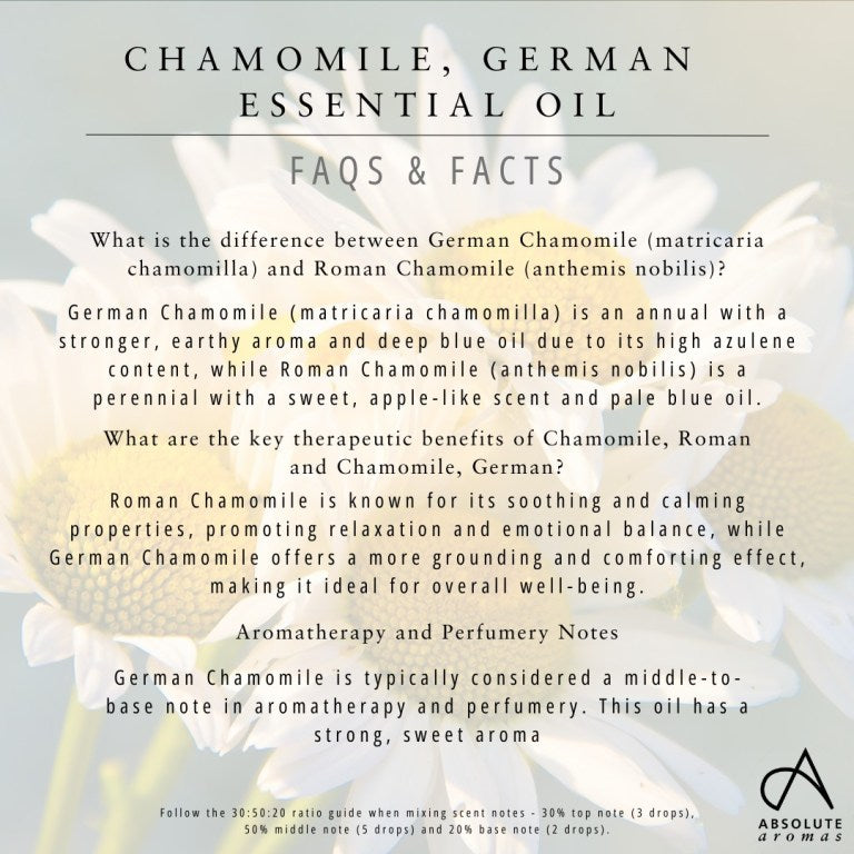 Absolute Aromas Chamomile, German Essential Oil 5