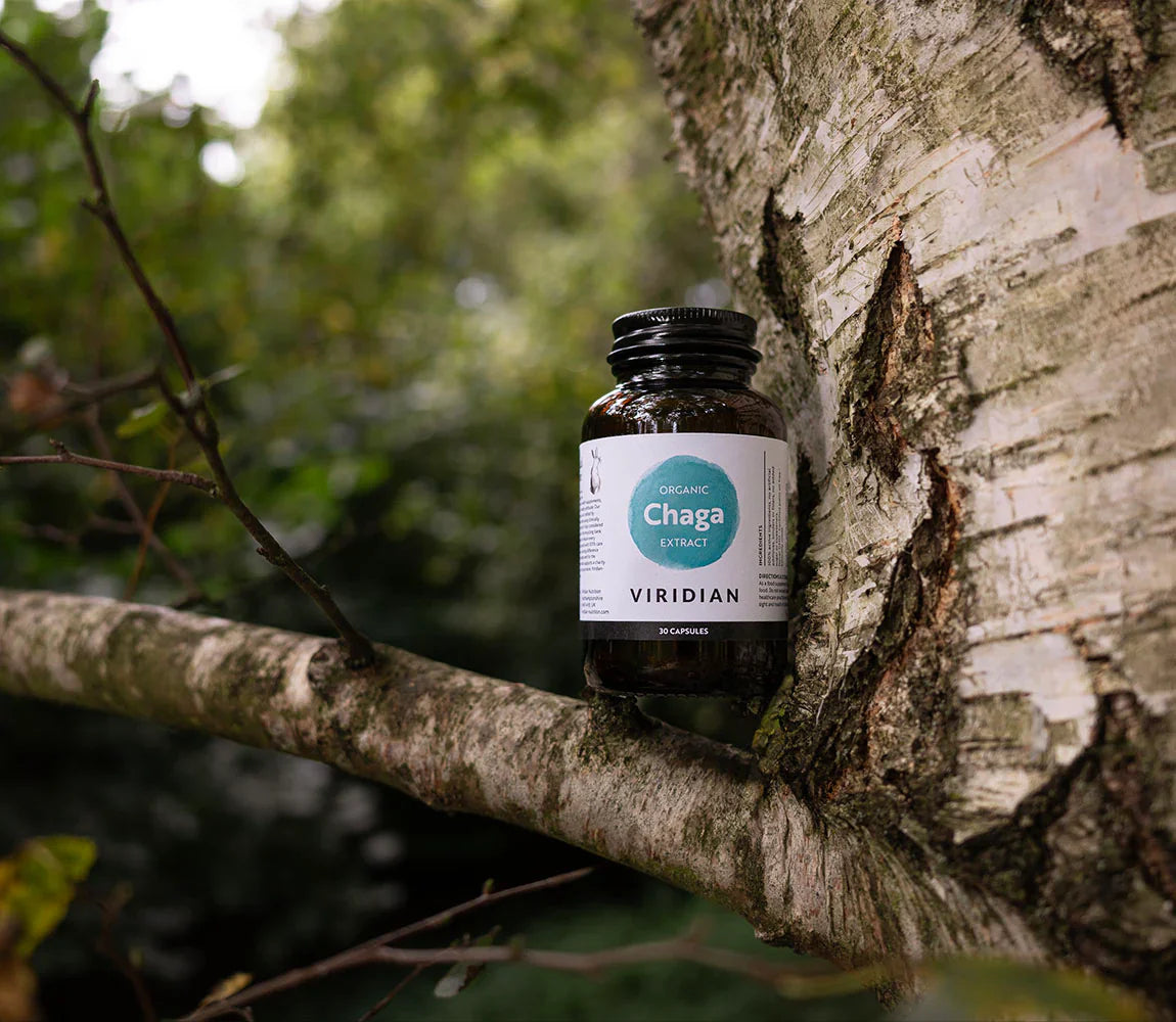 Viridian Organic Chaga Extract 3